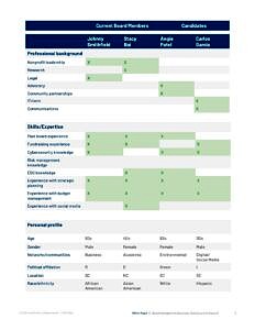 board skills audit example