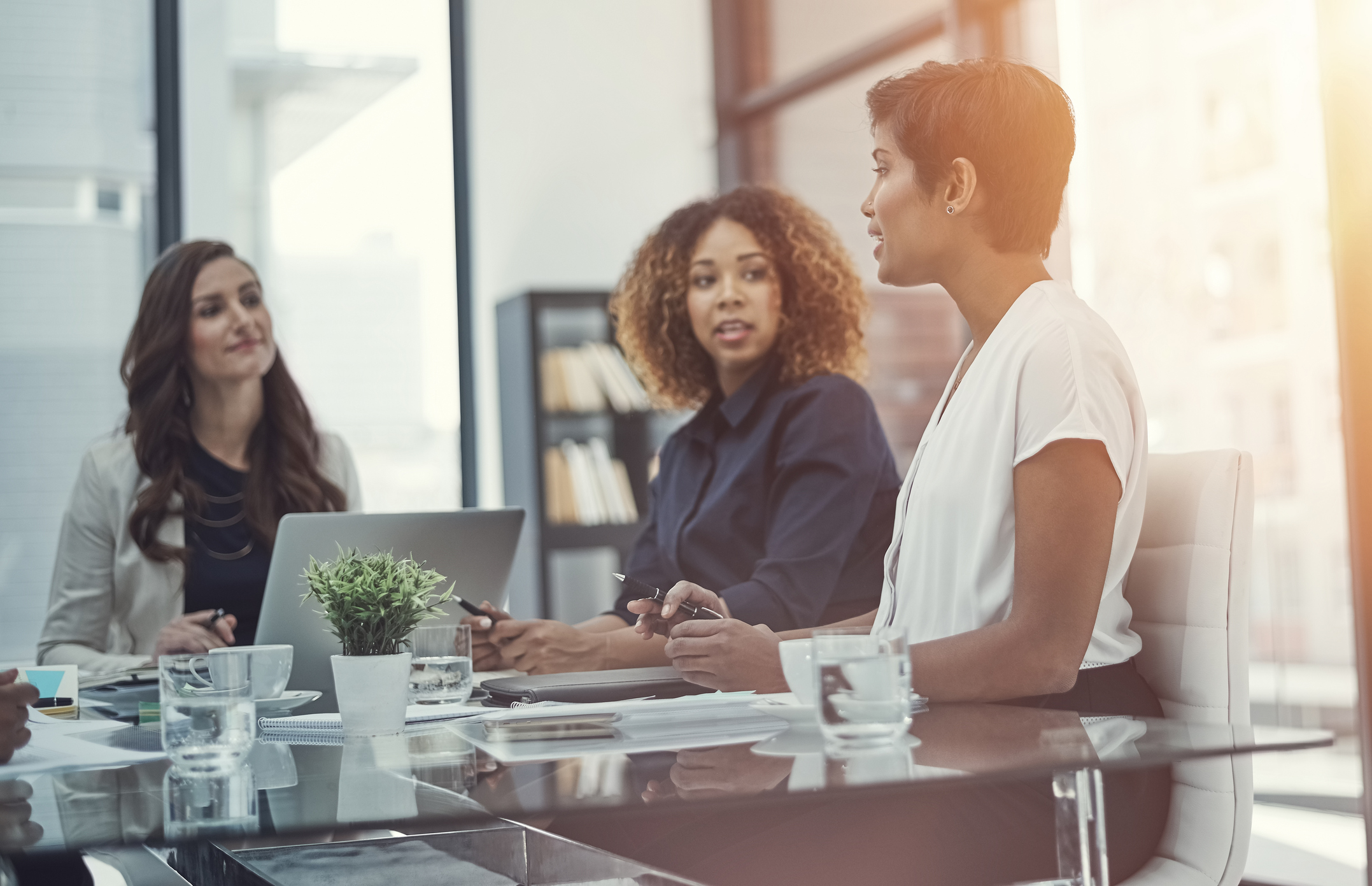 The Women On Boards 2020 Initiative To Have 20% Of Board Seats In The US Going To Women
