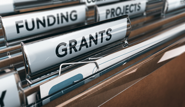 Capacity Grants For Nonprofits